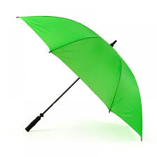 Umbrella