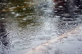 Rain Puddle on Road